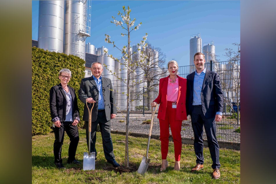 Pflanzten den ersten Apfelbaum (v.l.): Südpack-Managerin Jeannette Karge, Heinrichsthaler-Chef Uwe Lammeck, Südpack-Gesellschafterin Carolin Grimbacher und Food-Manager Carlo Remmele.