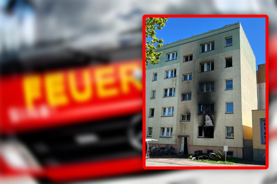 Tragisches Unglück: Mehrere Haustiere verenden bei Wohnungsbrand