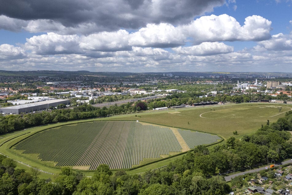 Auf der Galopprennbahn in Seidnitz wird die Polo-Meisterschaft ausgetragen.