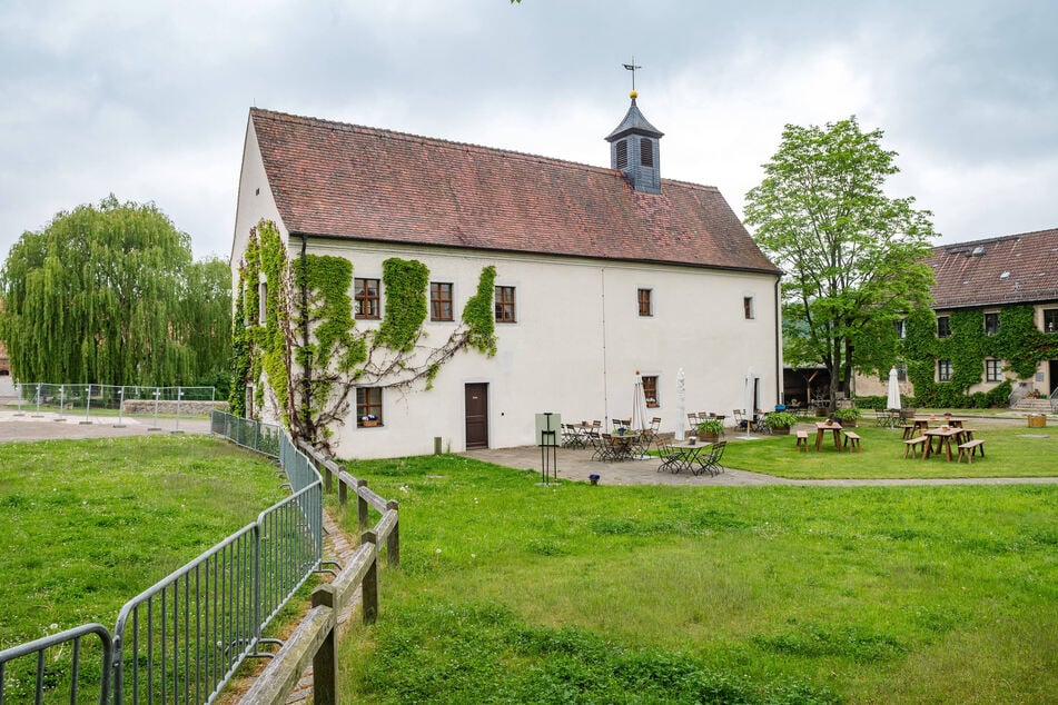 Kräuterfachfrau Koreen Vetter führt durch den Klosterpark Altzella und verrät Wissenswertes über heimische Wild- und Heilpflanzen.