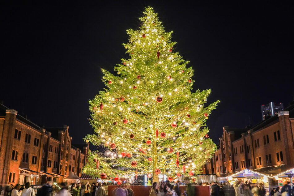 War der Weihnachtsbaum nicht richtig gesichert? (Symbolbild)