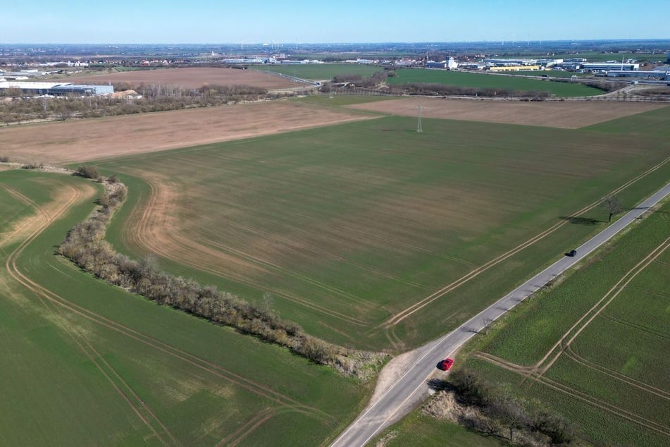 Diese Felder in Weißenfels könnten Standort für eine neue Justizvollzugsanstalt werden.