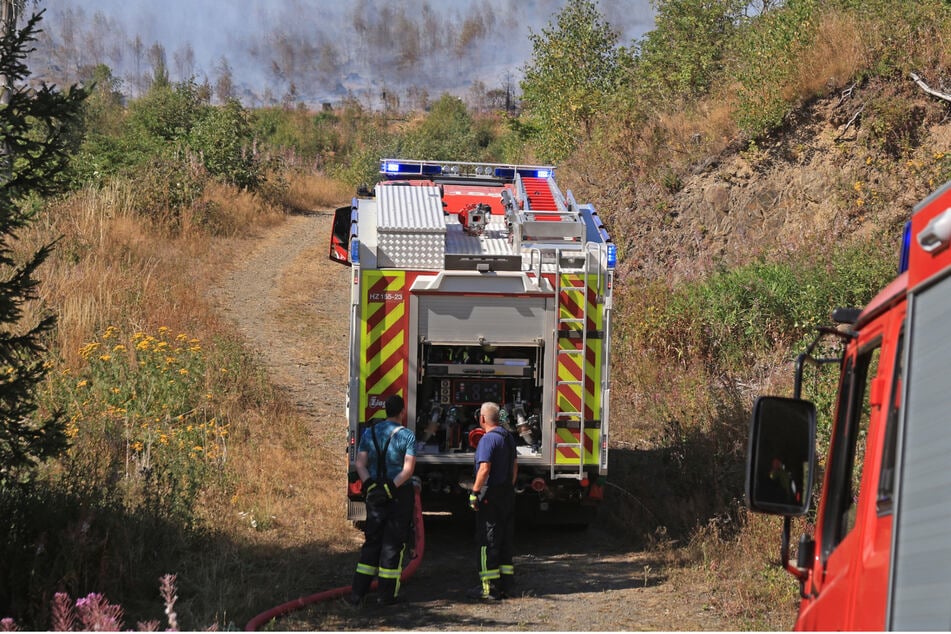 Nach über vier Tagen: Waldbrand im Harz ist endlich gelöscht