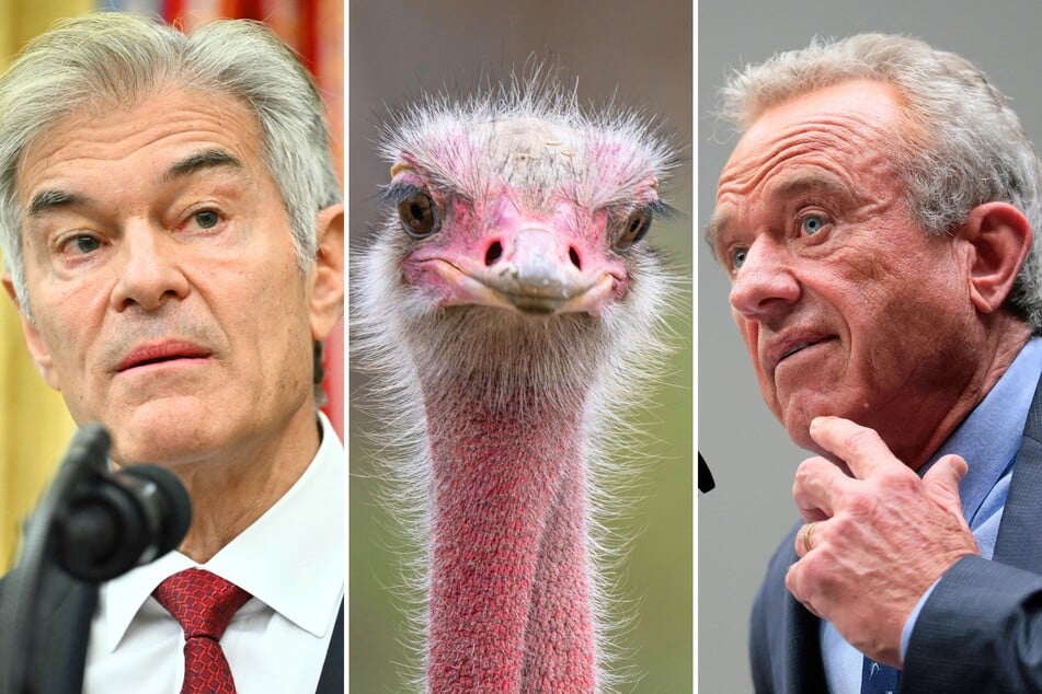 RFK Jr. and Dr. Oz lead effort to stop Canada from killing possibly bird flu-infected ostriches