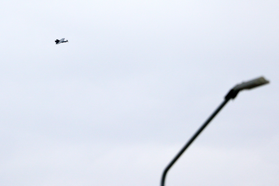Immer wieder werden über der Grenzregion ukrainische Drohnen gesichtet.