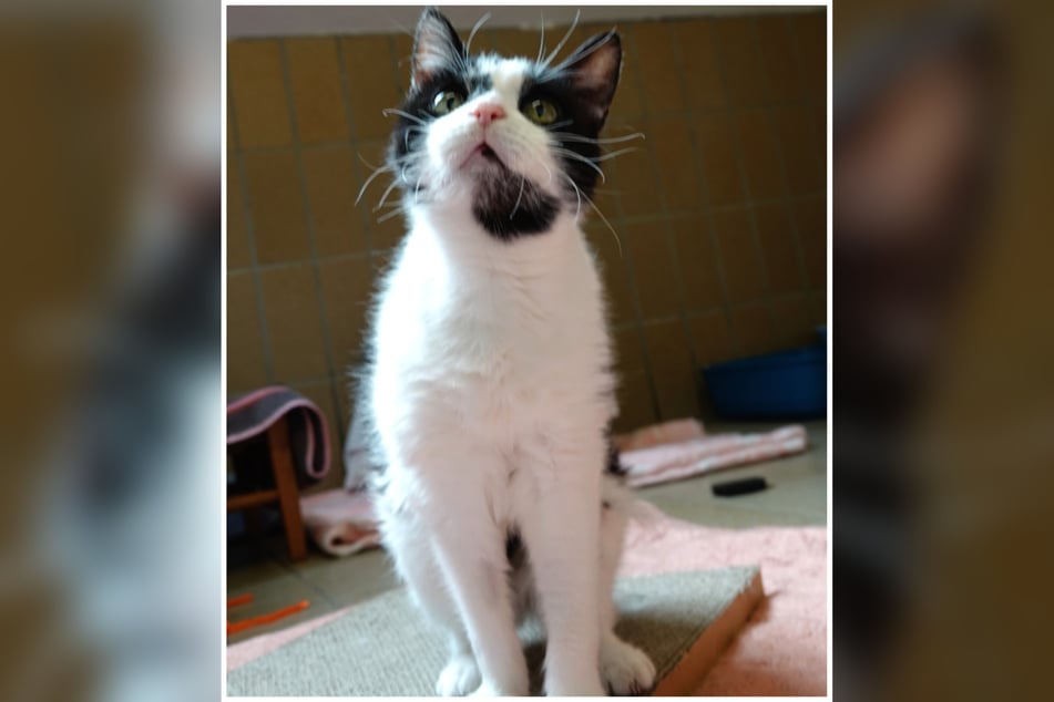 Giesela weiß sehr genau, was sie will und was sie nicht will.