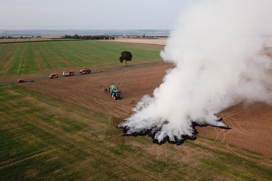 Strohballen gehen in Flammen auf: Polizei vermutet Brandstiftung