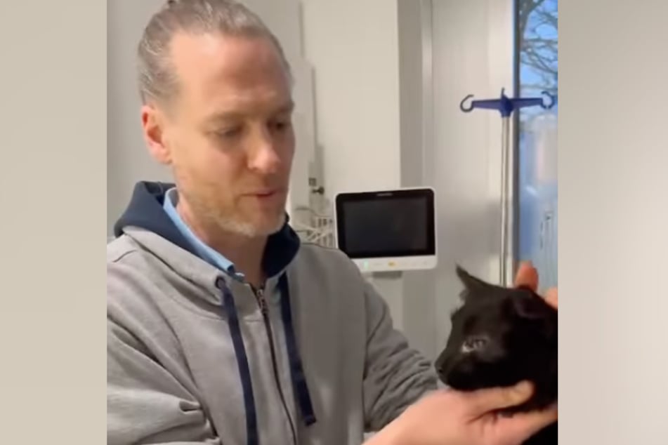 Tierarzt Dr. Mark Krause aus Neuss untersuchte Rufus und kündigte eine schnelle OP beim erkrankten Kater an.