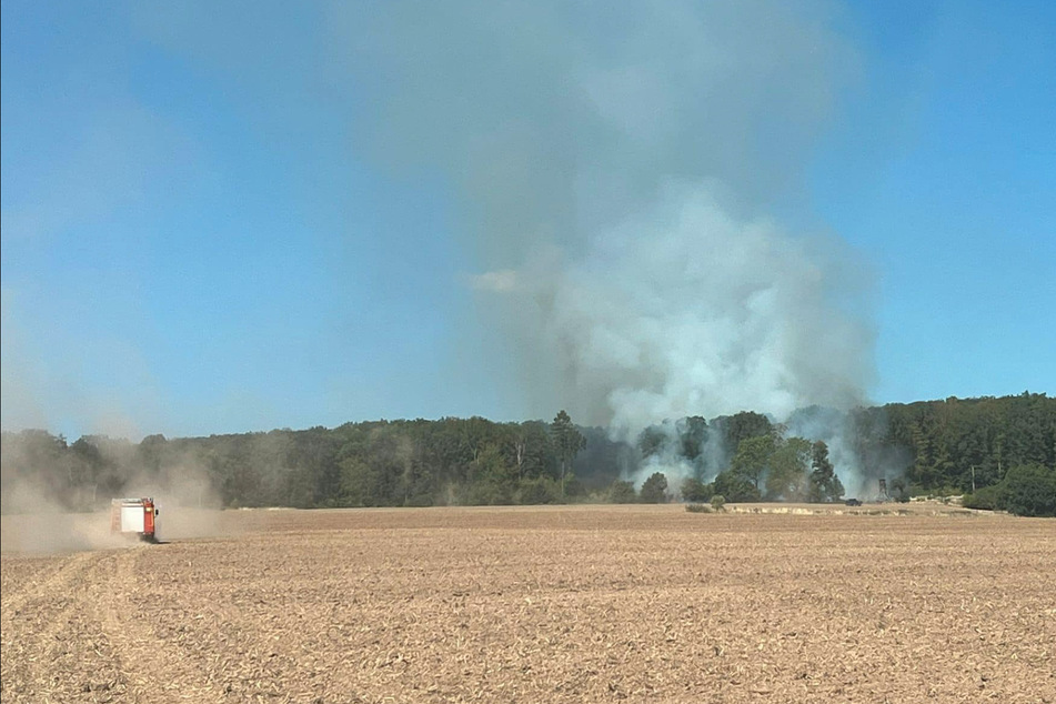 Zehn Hektar Wald in Flammen: Dorf muss zeitweise abgeriegelt werden