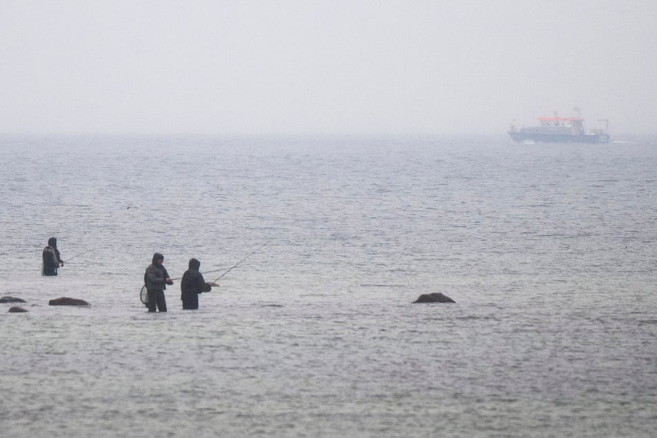 Die Suche geht weiter: Schwimmt der Buckelwal vor Wismar?