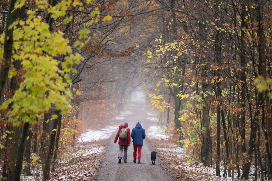 Eine Wanderung in der Dresdner Heide ist zu jeder Jahreszeit schön.