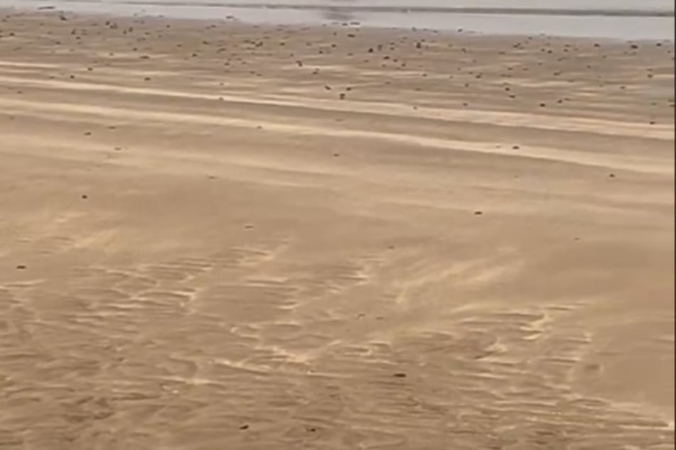 Die Strandpromenade im schottischen Monifieth ist ein perfekter Ort für ruhige Spaziergänge.