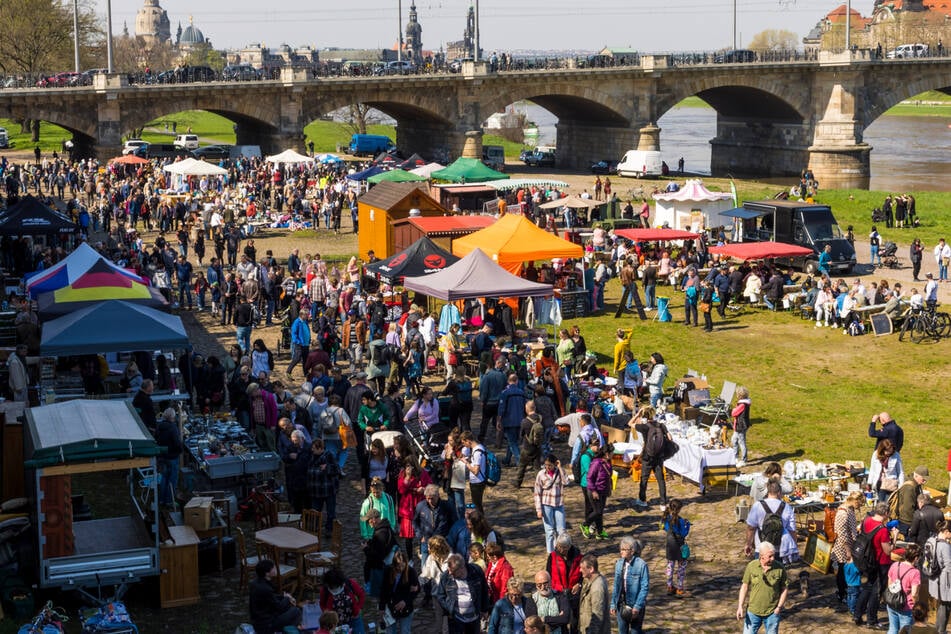 Nach verborgenen Schätzen könnt Ihr auf dem Flohmarkt stöbern.