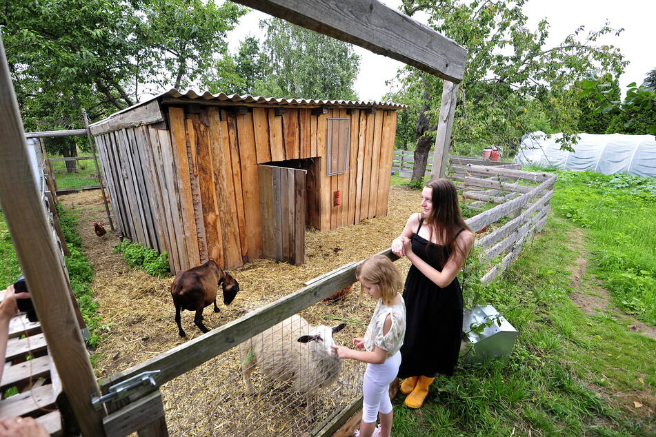 Neue Behausungen für Tauben, Hühner und Enten: Lilli-Jane (19) zeigte beim Besuchertag dieser Woche der kleinen Martha (8) die Tierlebensfarm.