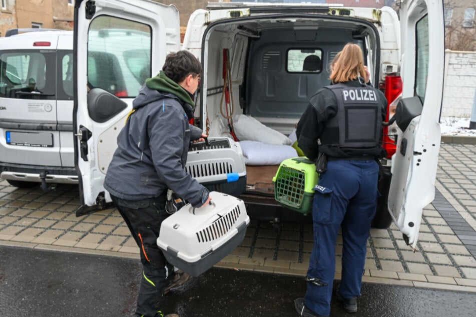 Mit der Unterstützung der Polizei wurden die Hunde befreit.