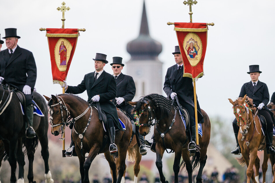 Dresden: Wieder ist ein Virus Schuld: Osterreiter bangen um ihre Pferde!