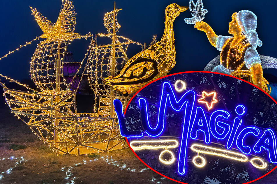 "Lumagica" Magdeburg 2026 im TAG24-Check: Lohnt sich ein Besuch?
