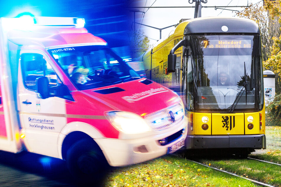Dresden: 43-Jähriger am Großen Garten geschlagen und ausgeraubt: Drei Tatverdächtige festgenommen!