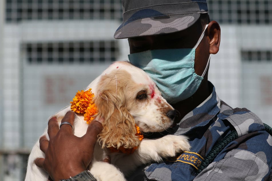 A soldier gives his future sniffer dog a cuddle.