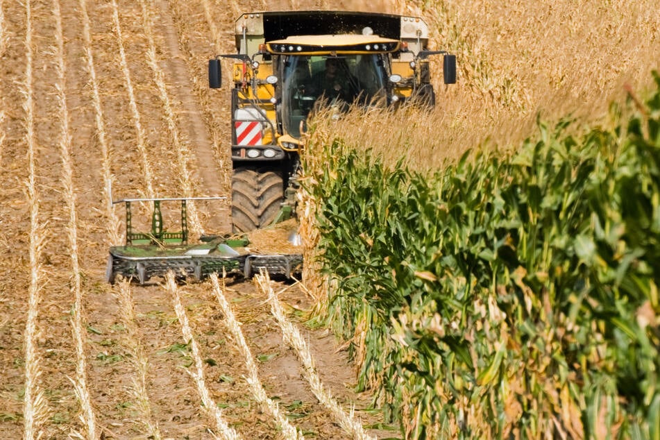 Der 39-Jährige erfasste den 85-Jährigen mit dem Häcksler im Feld. (Symbolbild)