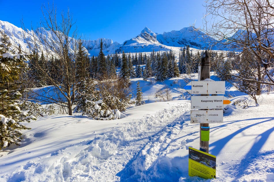Die schönen, winterlichen Bilder trügen: In der Hohen Tatra ist die Lawinengefahr aktuell besonders hoch. (Archivbild)
