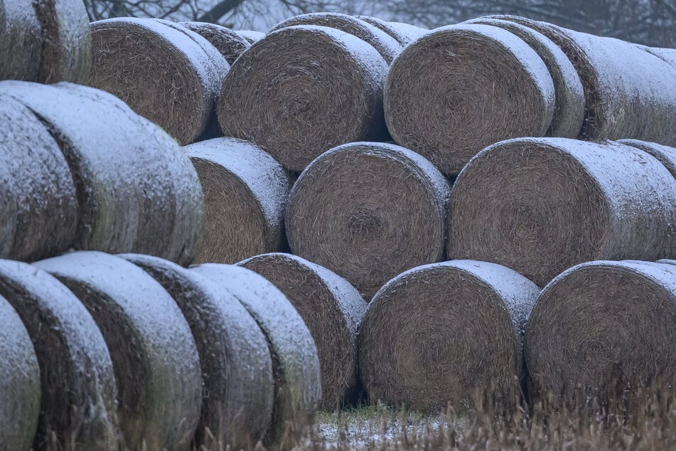 Tödlicher Arbeitsunfall: Mitarbeiter von Strohballen erschlagen