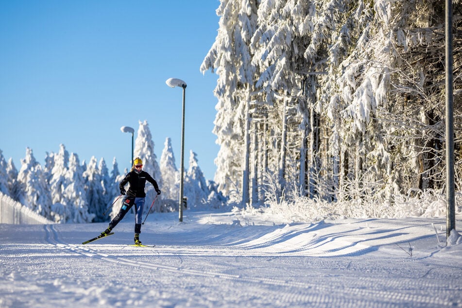 Frisch präparierte Loipen und winterliche Schneelandschaften locken derzeit zahlreiche Langläufer nach Oberhof und in den Thüringer Wald.