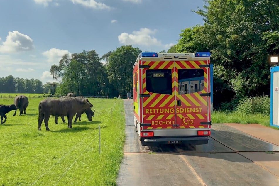 Ein Krankenwagen kommt ans Set.