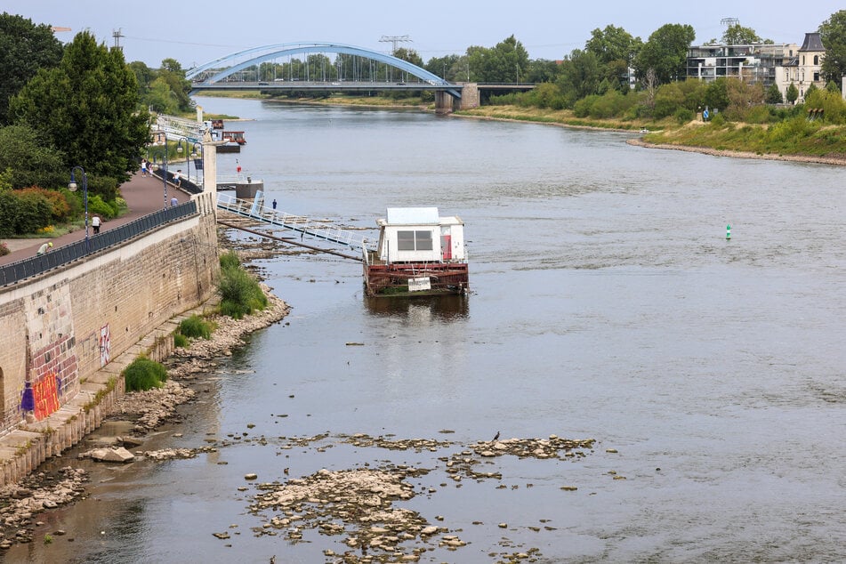 Die Elbe in Magdeburg führt derzeit so wenig Wasser wie noch nie seit Beginn der Messungen.