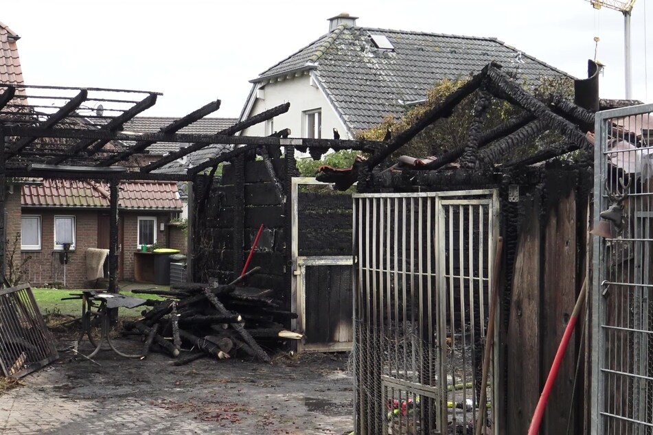Der Pferdestall im Rommerskirchen beheimatete zwei Pferde – nur eins von ihnen konnte gerettet werden.