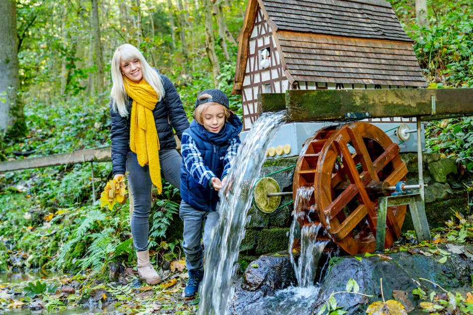 Für Familien ist dieser Wald im Vogtland ein absolutes Highlight