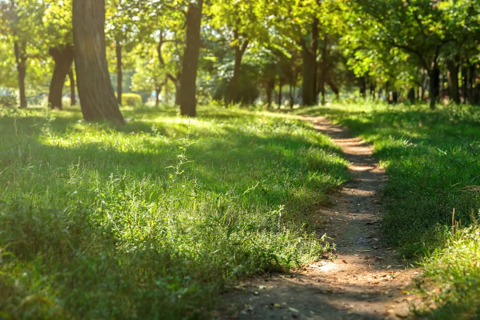 Mit Freunden eine gute Zeit erleben kann man im Leipziger Friedenspark. (Symbolbild)