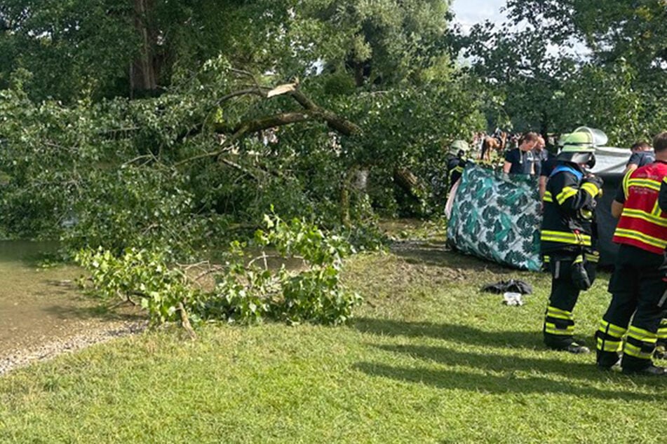 Riesen-Ast begräbt Frau im Englischen Garten: Wie konnte es so weit kommen?