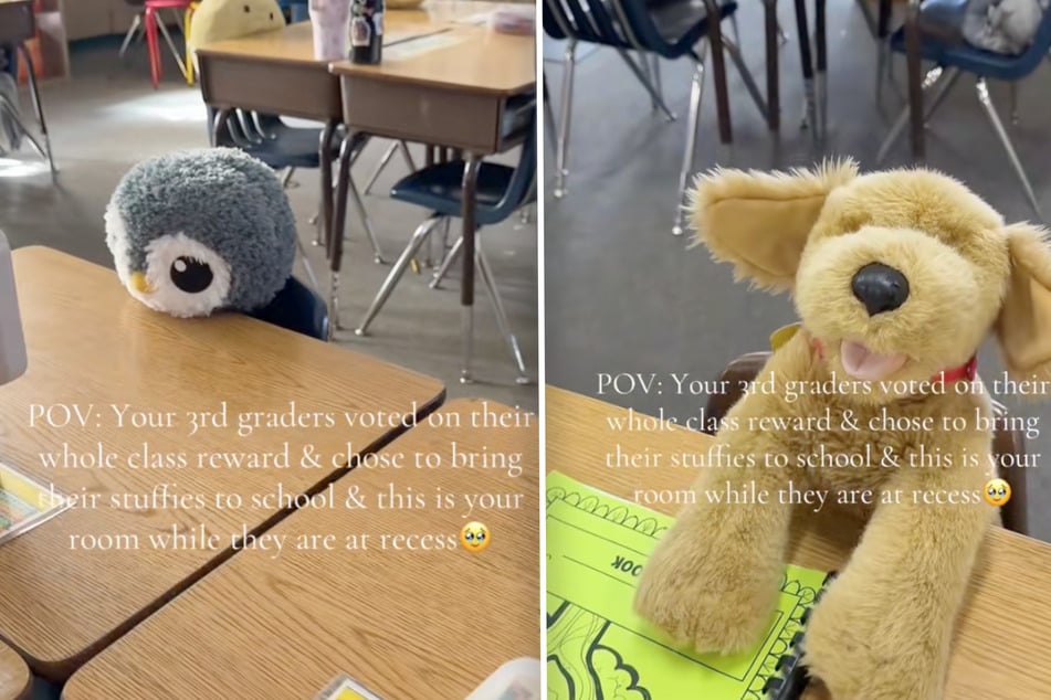 Lehrerin erlaubt Kuscheltiere im Unterricht - was ihre Schüler dann tun, überrascht