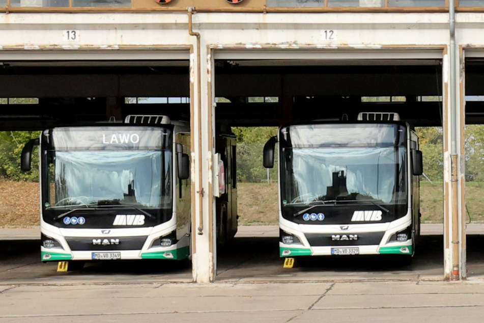 Dort, wo die Straßenbahnen vorübergehend nicht mehr hinfahren, werden Busse bereitgestellt. (Archivbild)