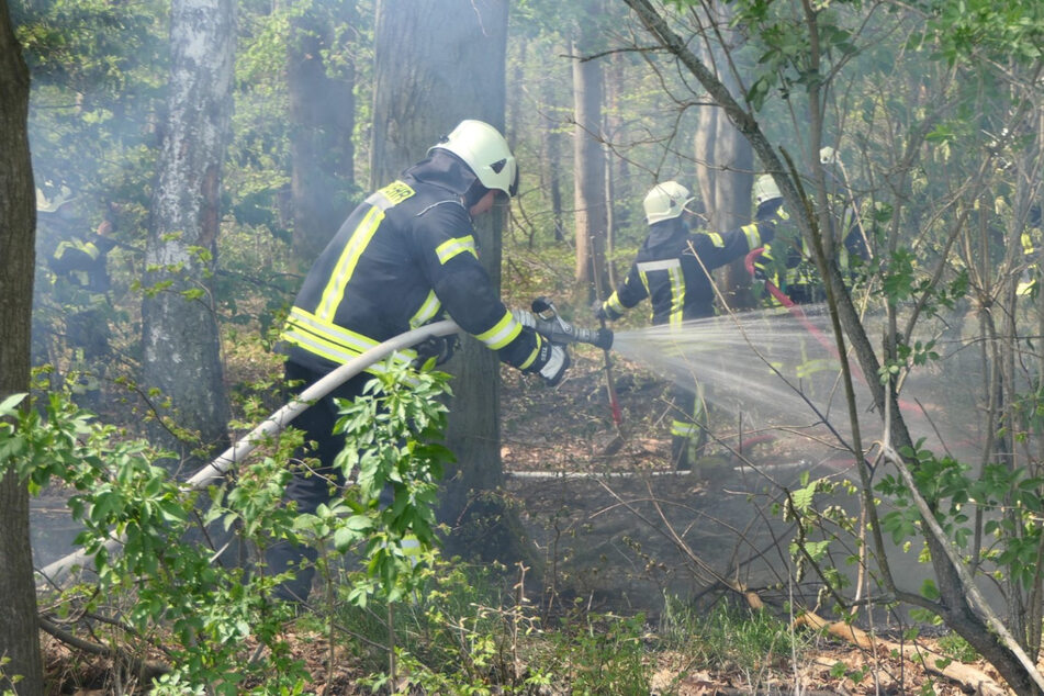 Im Waldbardauer Forst bei Grimma löschen Feuerwehrleute einen Waldbrand. Ein Spaziergänger erlitt eine leichte Rauchgasvergiftung.