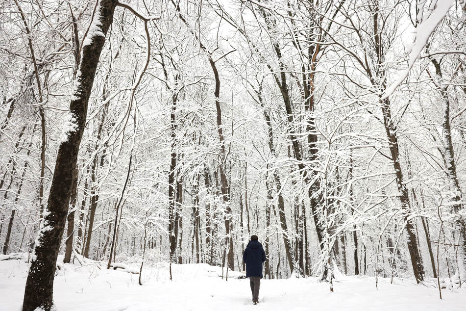 New York City recorded its first significant snowfall of the winter, with 1.8 inches accumulating in Central Park by Tuesday morning.