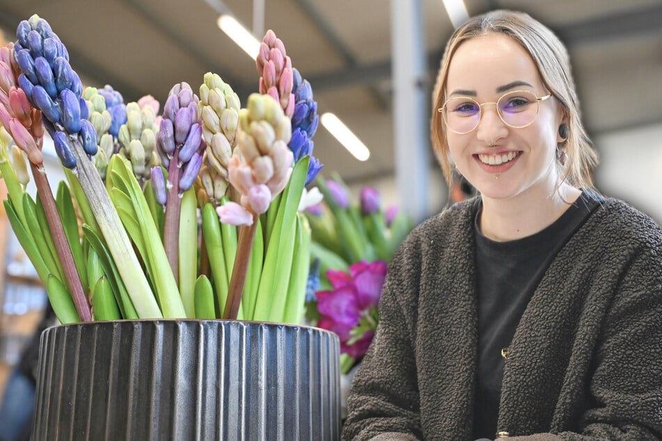 Dresden: Nicht mehr lang bis zur Blütenschau: Im Großen Garten wird schon der Frühling geplant