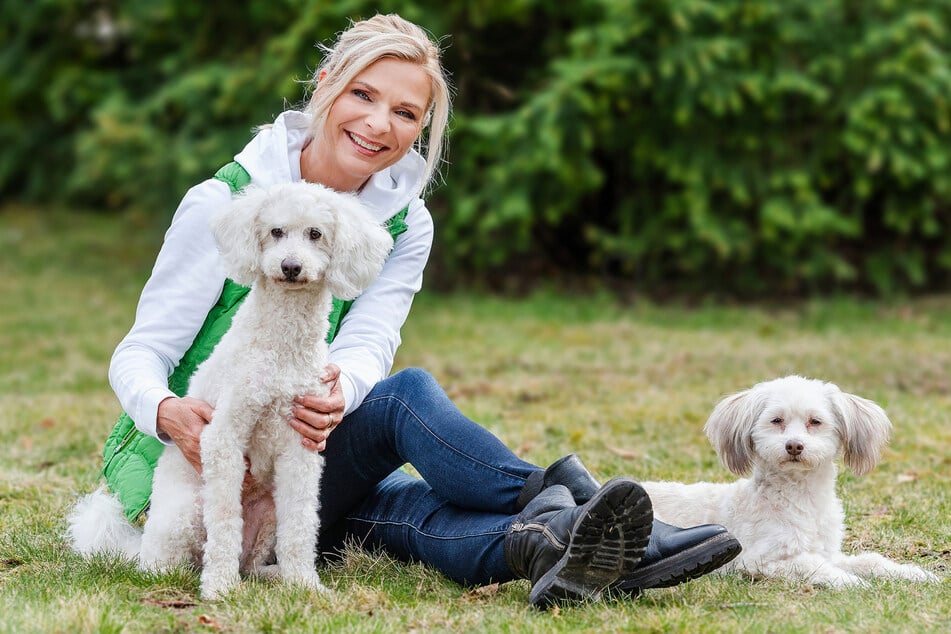 Am Mittwoch ist die erste Folge im neuen Jahr von "Tierisch, tierisch" mit Uta Bresan (60) im MDR zu sehen.