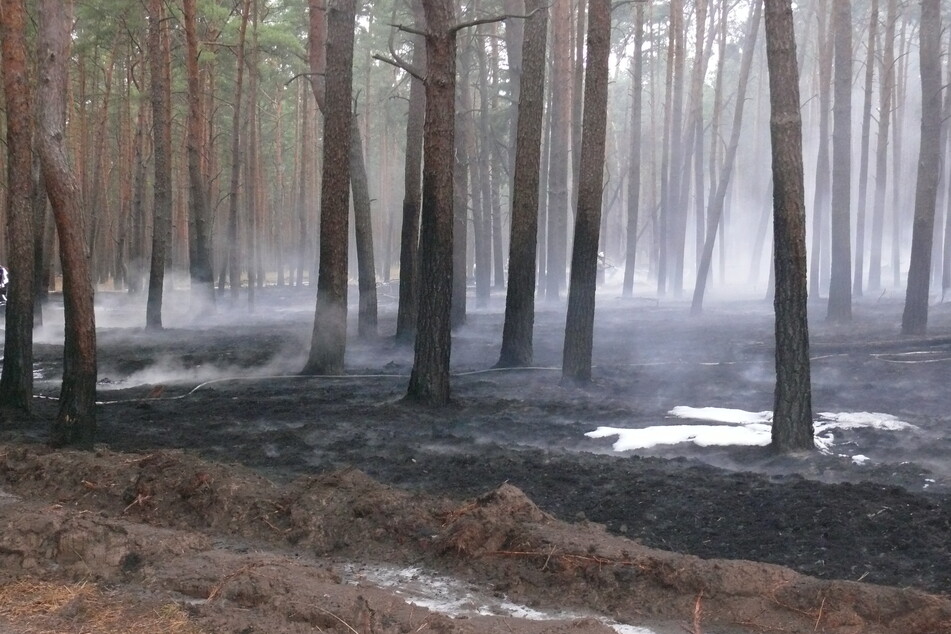 Am Wochenende mussten die Stendaler Feuerwehren zu mehreren Waldbränden ausrücken.