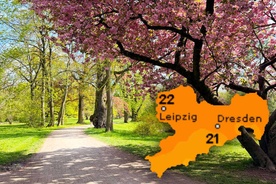 Der Frühling in Sachsen kann sich sehen lassen.