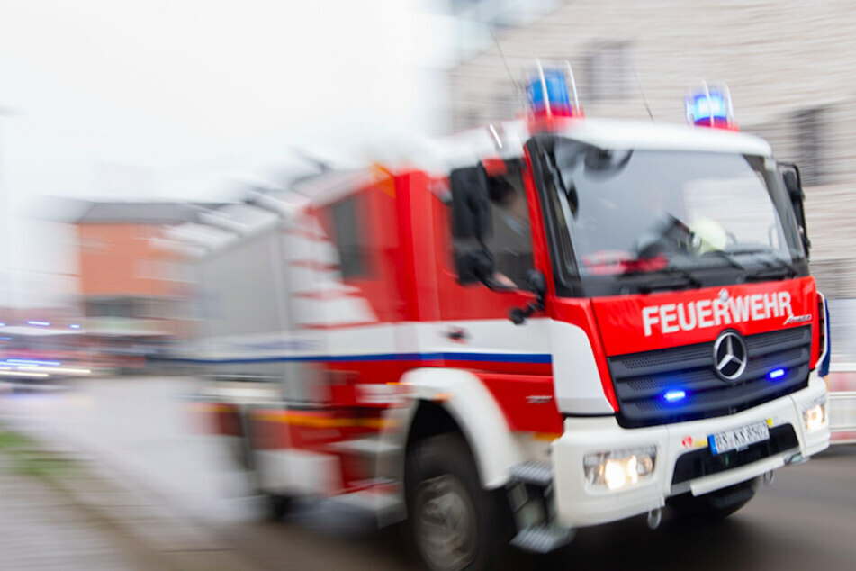Hunde-Rettung: Feuerwehr befreit unter Straßenbahn eingeklemmten Bernhardiner
