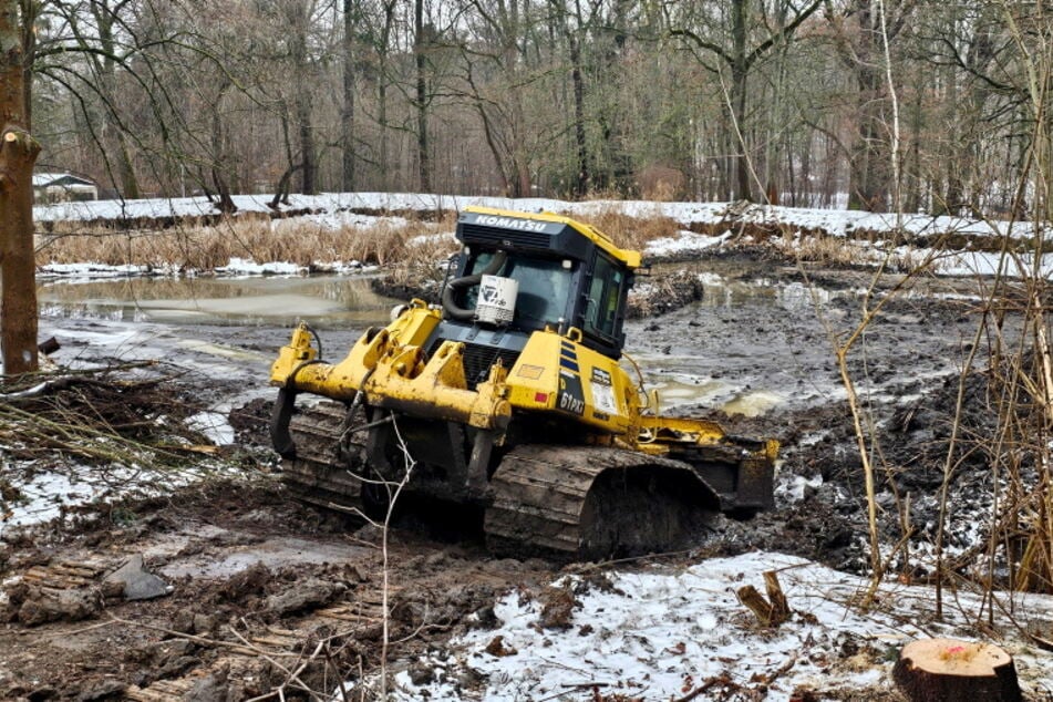 Bei der Säuberung wird Sediment und Wuchs beseitigt.