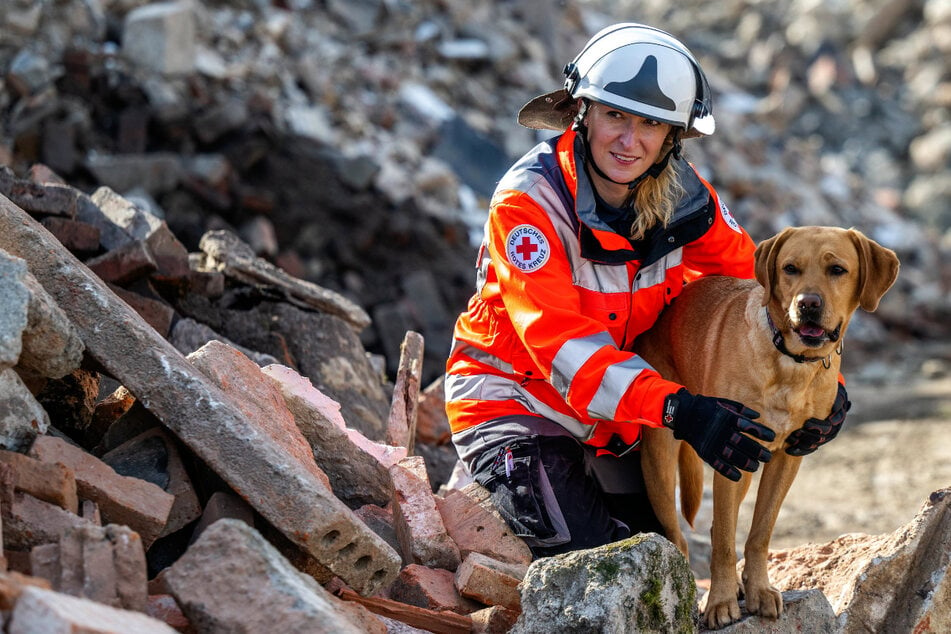 Sachsens Rettungs-Hunde: Unter Trümmern haben sie den besten Riecher