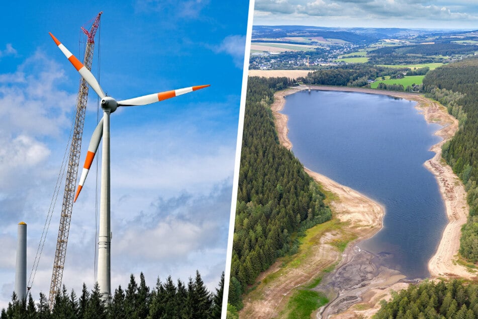 Öko-Dilemma! Wenn Wind und Wasser zu Kontrahenten werden