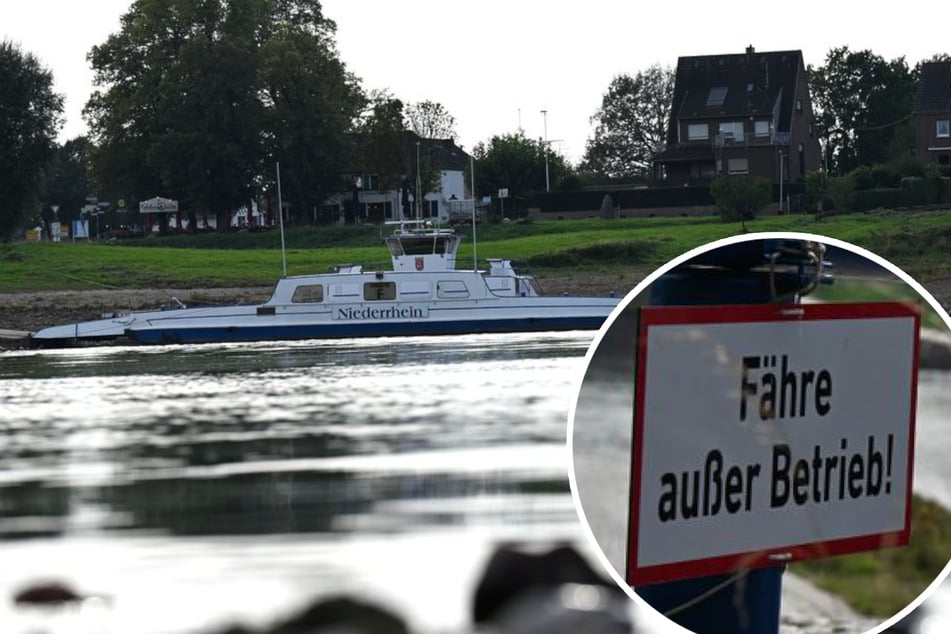 Niedrigwasser hat drastische Folgen: Rheinfähre meldet Kurzarbeit an