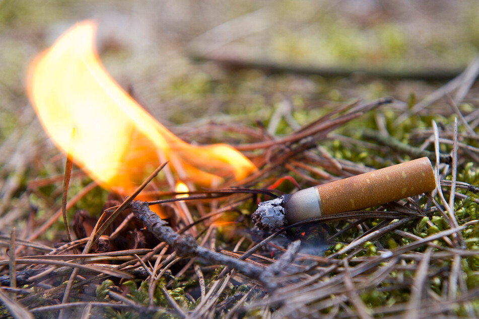 Kleine Urlache, große Wirkung: Bei anhaltender Trockenheit steigt die persönliche Verantwortung beim Wandern in der Natur.