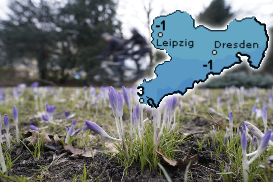 Frühling lässt auf sich warten: Regen und Schnee am Wochenende in Sachsen