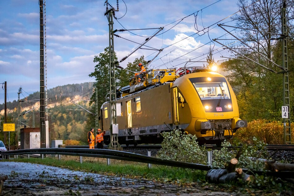 Eine Pappel zerstörte die Oberleitung der Bahn bei Rathen.