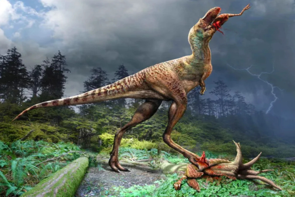 Der junge Gorgosaurier hatte Pech: Er verspeiste noch zwei Baby-Dinos, dann verendete das Tier.